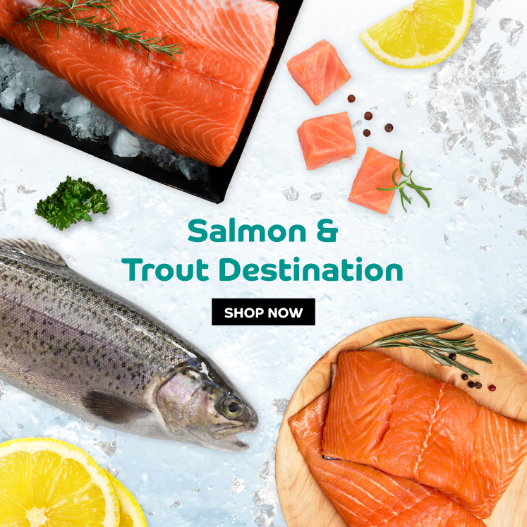 Salmon & Trout Destination