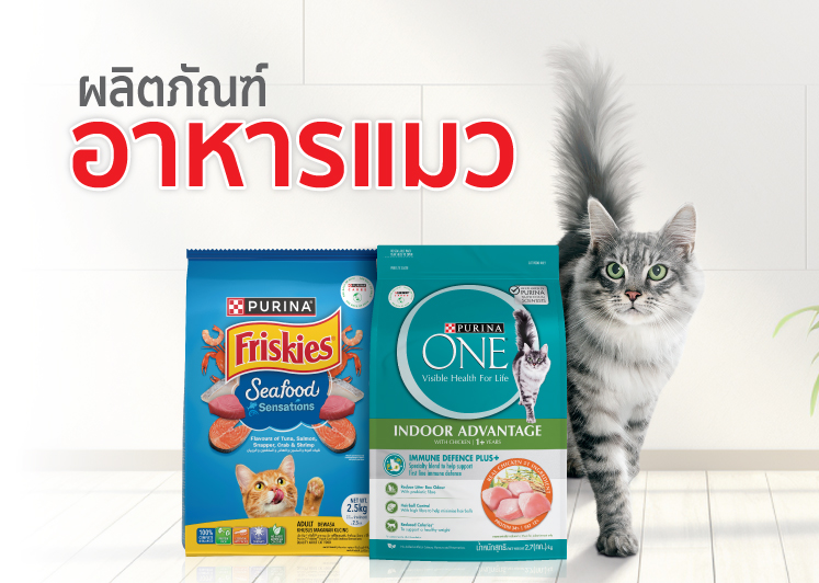 purina-cat