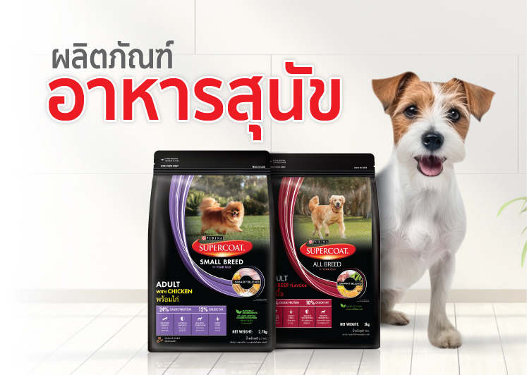 purina-dog