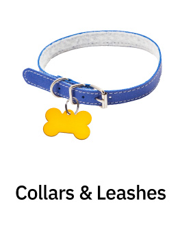 collar and leash