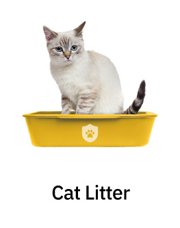 cat litter
