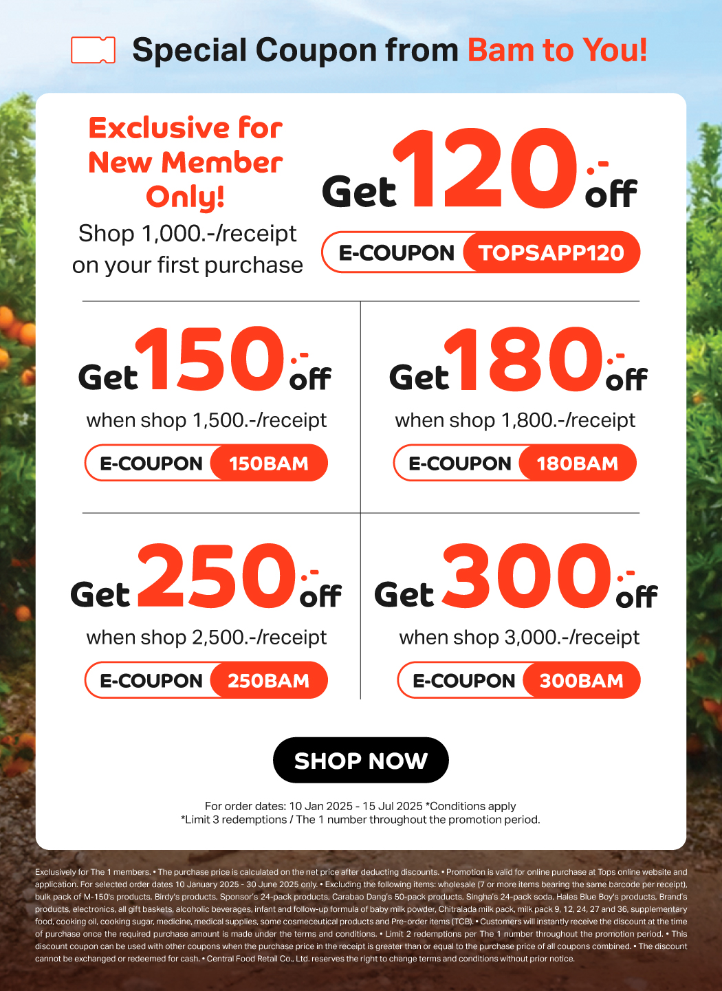 2025 Branding Static All Coupons