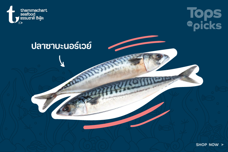 white Fish Thammachar