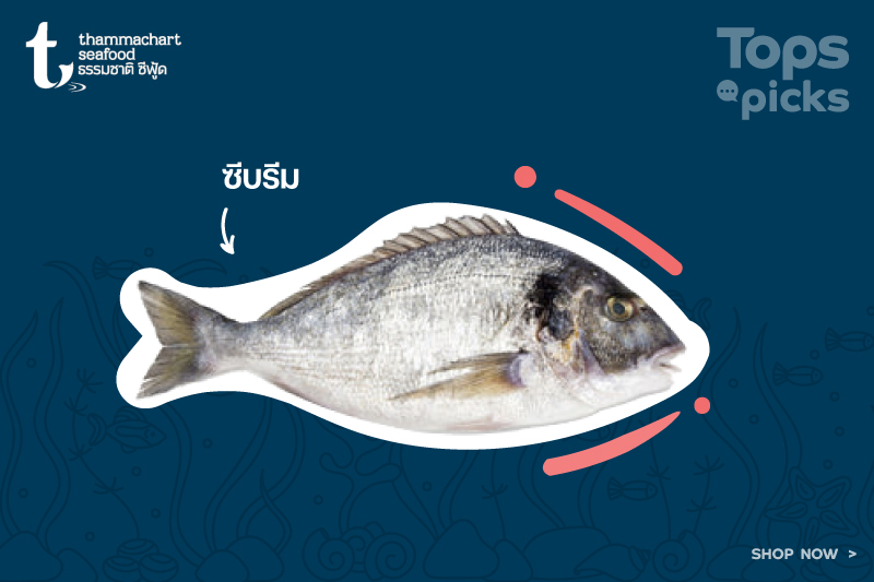 white Fish Thammachar