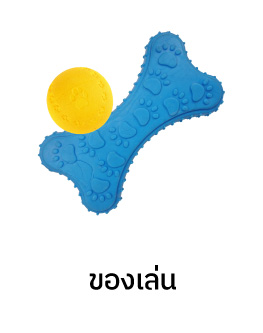 pet toy