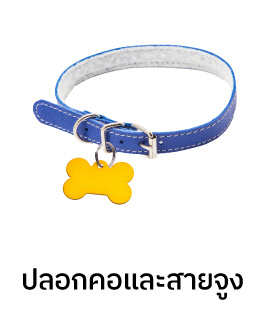 collar and leash