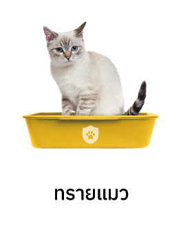 cat litter