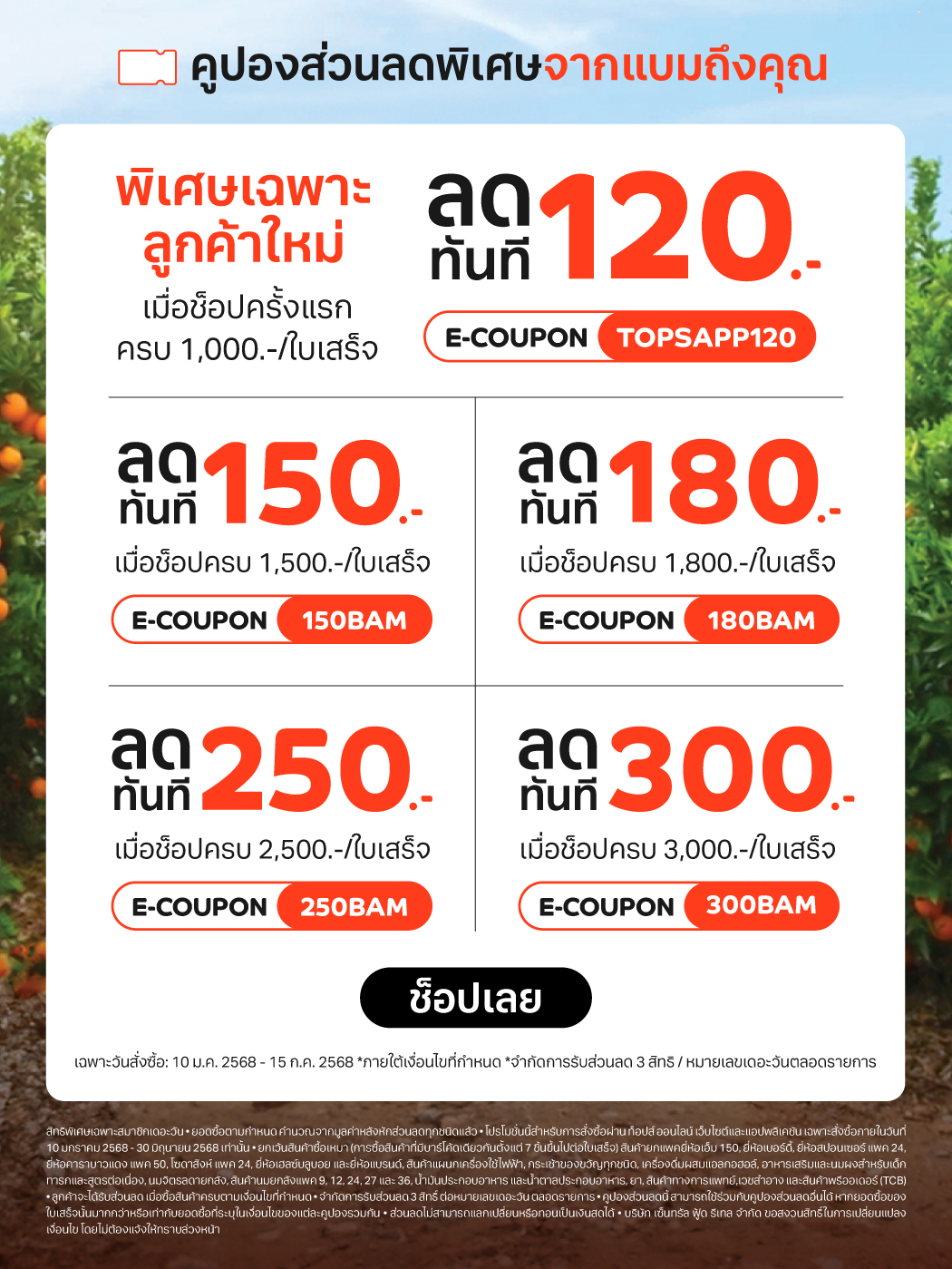 2025 Branding Static All Coupons